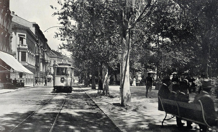 Zrinjevac 1925. godine, drvored na zapadnoj strani